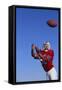 Football Player Catching a Football-DLILLC-Framed Stretched Canvas