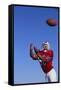 Football Player Catching a Football-DLILLC-Framed Stretched Canvas