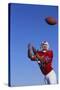 Football Player Catching a Football-DLILLC-Stretched Canvas