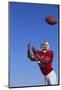 Football Player Catching a Football-DLILLC-Mounted Photographic Print