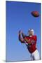 Football Player Catching a Football-DLILLC-Mounted Photographic Print