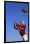 Football Player Catching a Football-DLILLC-Framed Photographic Print