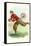 Football Player, Cornell, New York-null-Framed Stretched Canvas