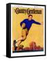 "Football Player," Country Gentleman Cover, November 1, 1931-John Newton Howitt-Framed Stretched Canvas