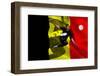 Football Player in Black Kicking against Belgium Flag-Wavebreak Media Ltd-Framed Photographic Print