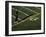 Football Player Standing at the Goal Line-null-Framed Photographic Print