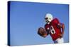 Football Player-DLILLC-Stretched Canvas