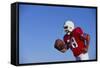 Football Player-DLILLC-Framed Stretched Canvas