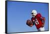 Football Player-DLILLC-Framed Stretched Canvas