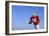 Football Player-DLILLC-Framed Photographic Print