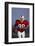 Football Player-DLILLC-Framed Photographic Print