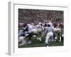 Football Players and Referee-null-Framed Photographic Print