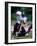 Football Players in Action-null-Framed Photographic Print