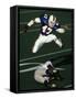 Football Running Back Flys over the Defense-null-Framed Stretched Canvas