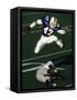 Football Running Back Flys over the Defense-null-Framed Stretched Canvas