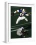 Football Running Back Flys over the Defense-null-Framed Photographic Print