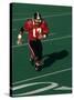 Football Running Back in Action-null-Stretched Canvas