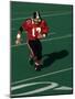 Football Running Back in Action-null-Mounted Photographic Print