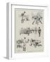 Football Sketches-Amedee Forestier-Framed Giclee Print