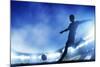 Football, Soccer Match. A Player Shooting on Goal. Lights on the Stadium at Night.-Michal Bednarek-Mounted Photographic Print