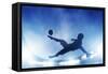 Football, Soccer Match. A Player Shooting on Goal Performing a Bicycle Kick. Lights on the Stadium-Michal Bednarek-Framed Stretched Canvas