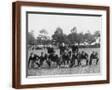 Brown Frame