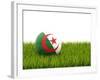 Football with Flag of Algeria-Mikhail Mishchenko-Framed Art Print