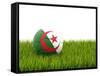 Football with Flag of Algeria-Mikhail Mishchenko-Framed Stretched Canvas