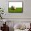 Football with Flag of Algeria-Mikhail Mishchenko-Framed Stretched Canvas displayed on a wall