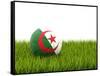 Football with Flag of Algeria-Mikhail Mishchenko-Framed Stretched Canvas