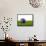 Football with Flag of Australia-Mikhail Mishchenko-Framed Stretched Canvas displayed on a wall