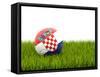 Football with Flag of Croatia-Mikhail Mishchenko-Framed Stretched Canvas