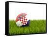 Football with Flag of Croatia-Mikhail Mishchenko-Framed Stretched Canvas