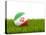 Football with Flag of Iran-Mikhail Mishchenko-Stretched Canvas