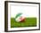 Football with Flag of Iran-Mikhail Mishchenko-Framed Art Print