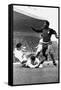 Football World Cup 1966 Portugal 3 Hungary 1. in Manchester-null-Framed Stretched Canvas