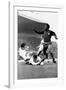 Football World Cup 1966 Portugal 3 Hungary 1. in Manchester-null-Framed Photographic Print