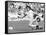 Football World Cup 1982 in Spain: France Team Vs Czechoslovakia Team-null-Framed Stretched Canvas