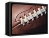 Football-Robert Michael-Framed Stretched Canvas