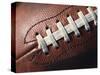 Football-Robert Michael-Stretched Canvas