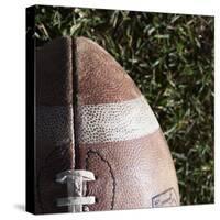 Football-Sean Justice-Stretched Canvas
