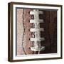 Football-Sean Justice-Framed Photographic Print