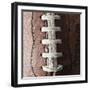 Football-Sean Justice-Framed Photographic Print