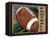 Football-Todd Williams-Framed Stretched Canvas