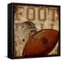 Football-null-Framed Stretched Canvas