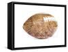 Football-Milli Villa-Framed Stretched Canvas