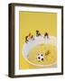 Footballers Looking for Ball in Noodle Soup Pond-Martina Schindler-Framed Photographic Print