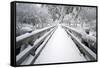 Footbridge Covered in Snow, Silver Falls State Park, Oregon, USA-Craig Tuttle-Framed Stretched Canvas