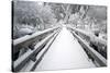 Footbridge Covered in Snow, Silver Falls State Park, Oregon, USA-Craig Tuttle-Stretched Canvas