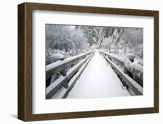 Footbridge Covered in Snow, Silver Falls State Park, Oregon, USA-Craig Tuttle-Framed Photographic Print